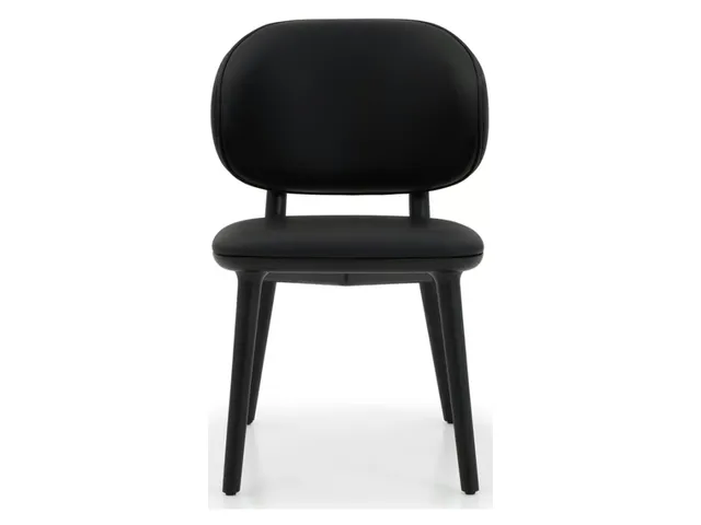 Soren Dining Chair - Matte Black - Alternative View