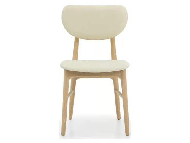 Stella Dining Chair - Saddle
