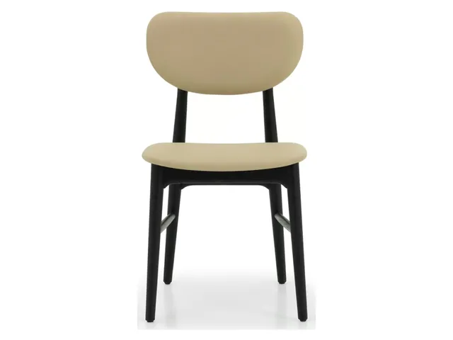 Stella Dining Chair - Matte Black - Alternative View