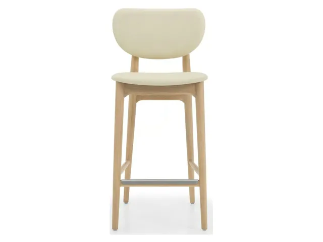 Stella Counter Stool - Saddle