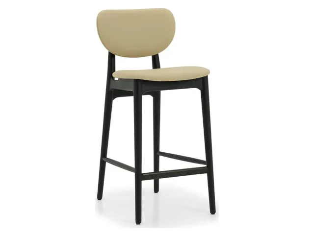 Stella Counter Stool - Matte Black
