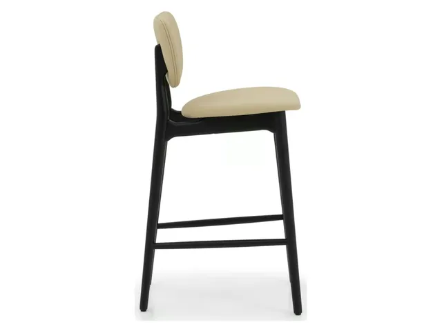 Stella Counter Stool - Matte Black - Alternative View