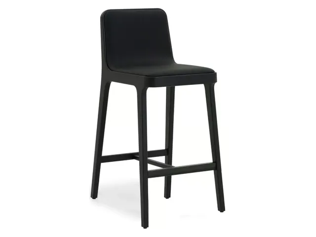 Florent Bar Stool - Matte Black