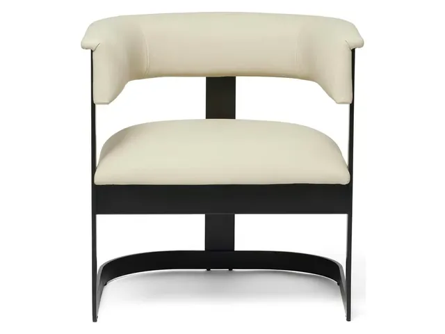 Darcy II Lounge Chair - Matte Black - Alternative View