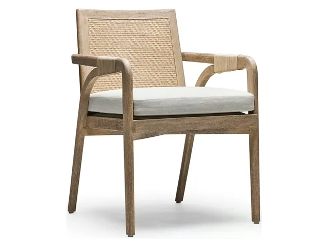 Delray Arm Chair - White Ceruse
