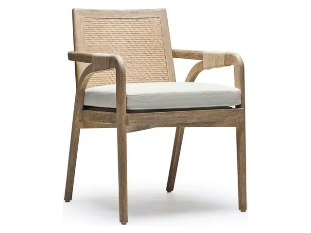 Delray Arm Chair - White Ceruse