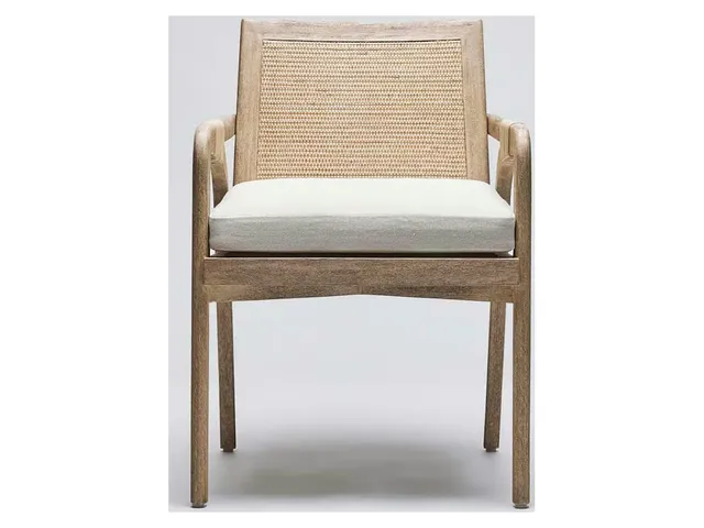 Delray Arm Chair - White Ceruse