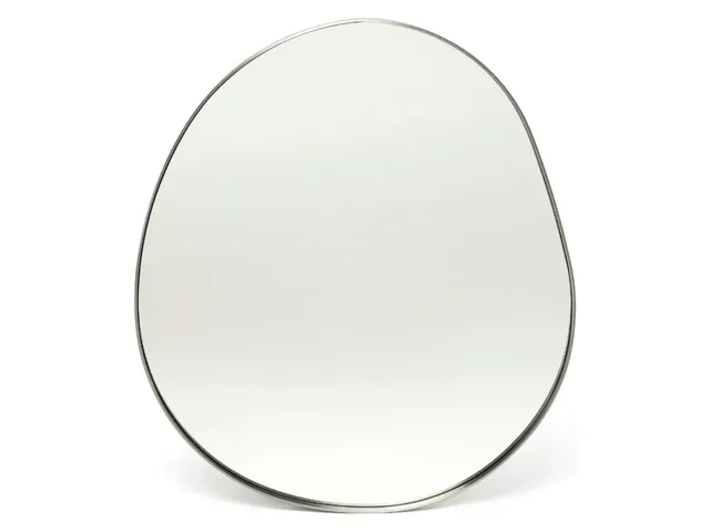 Aalina Organic Mirror - Brushed Nickel