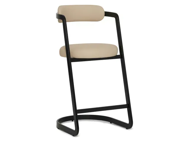 Baldwin Counter Stool - Matte Black