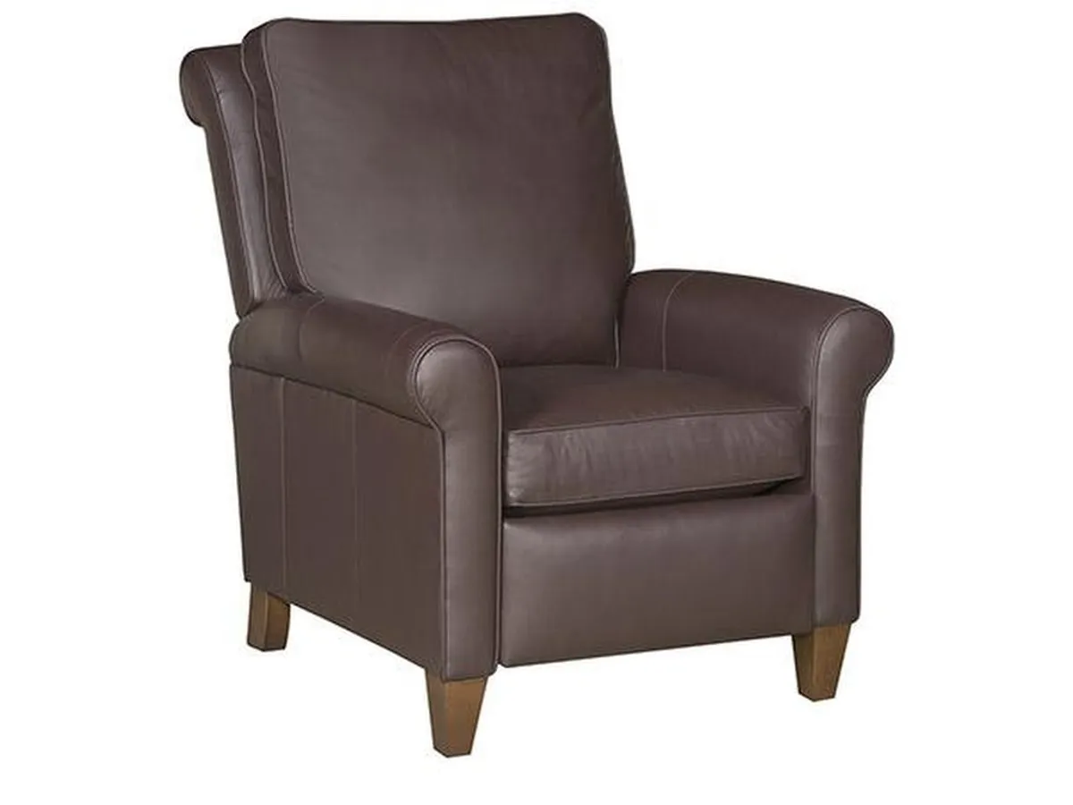 Danica Recliner - primary view