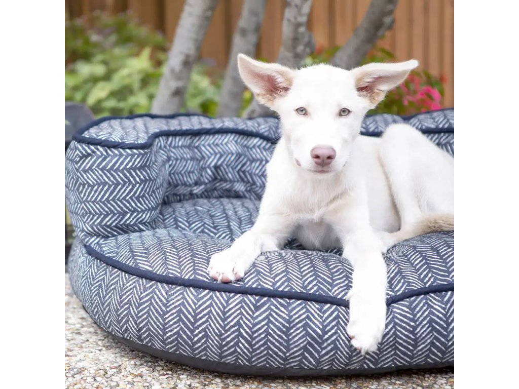 Gaston Indoor/Outdoor Sofa Bed - image 1