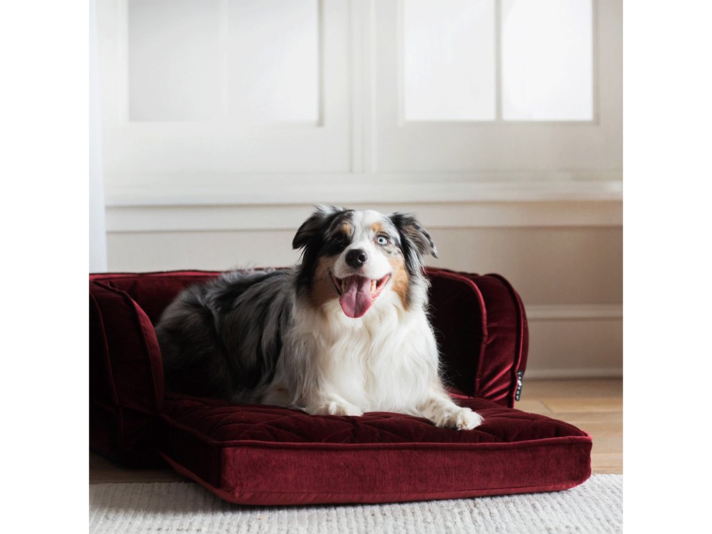 Duchess Fold Out Sofa, Merlot - image 1