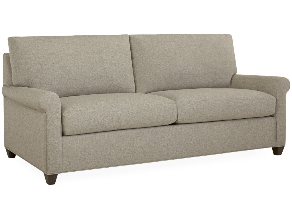 Full Sleeper Sofa - image 1