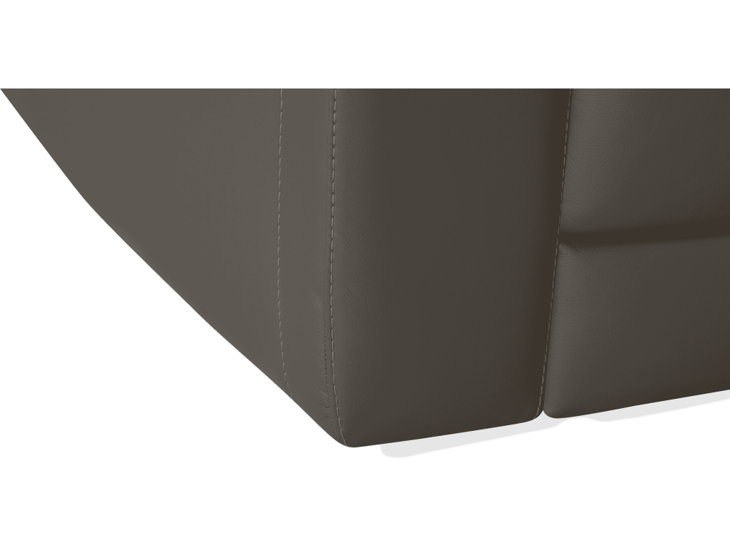 Leo - image 11