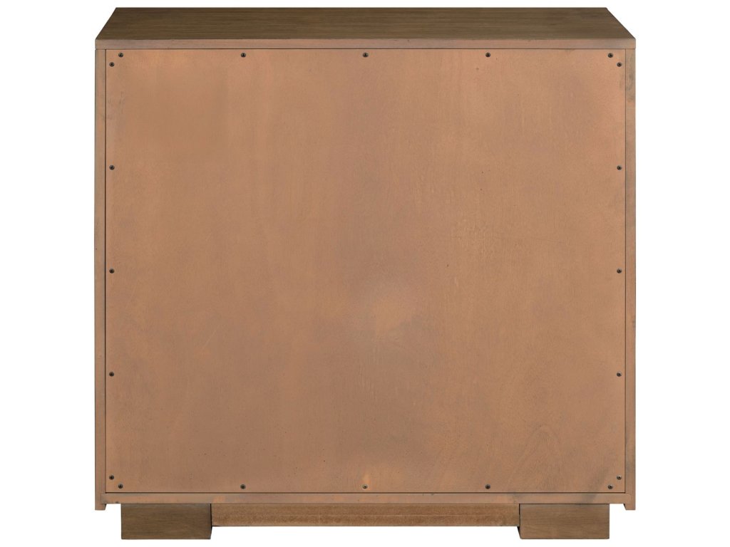 2 Door Accent Cabinet - image 4