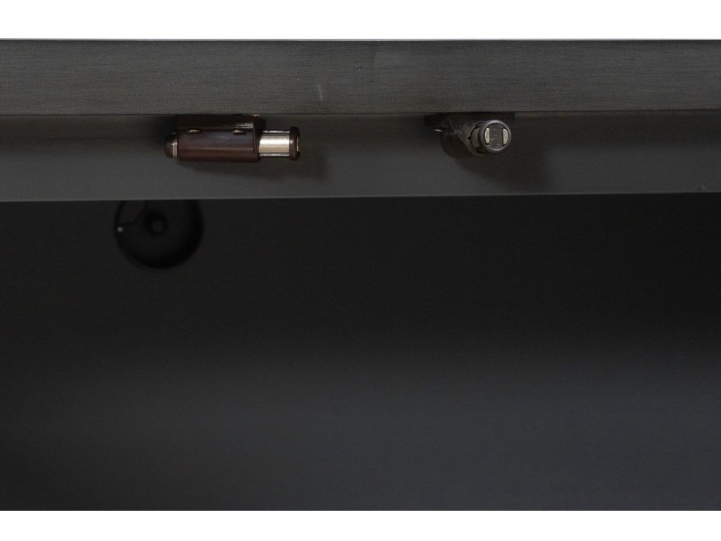 4 Door Accent Cabinet - image 9
