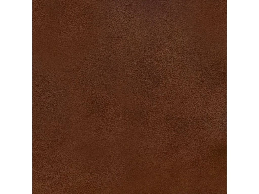 Venetian Honey Swatch - main image