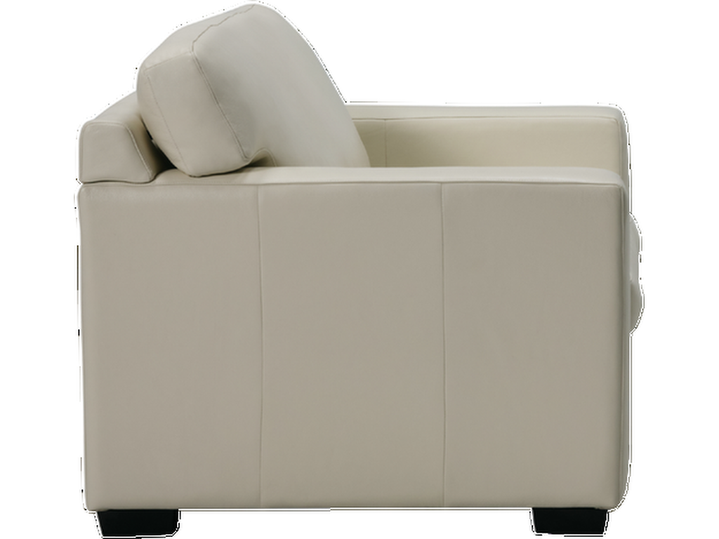 Madison Sleep Track Arm - image 6