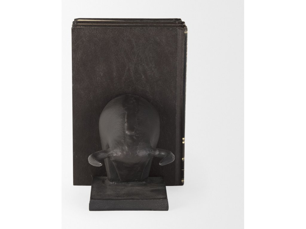 III (Set of 2) 10L x 5W Black Cast Aluminum Raging Bull Bookends - image 5