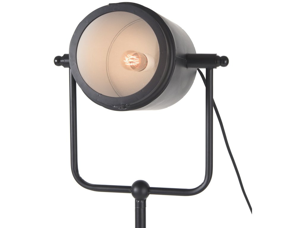 22L x 22W x 61H Black and White Metal Adjustable Cinema-Style Floor Lamp - image 6