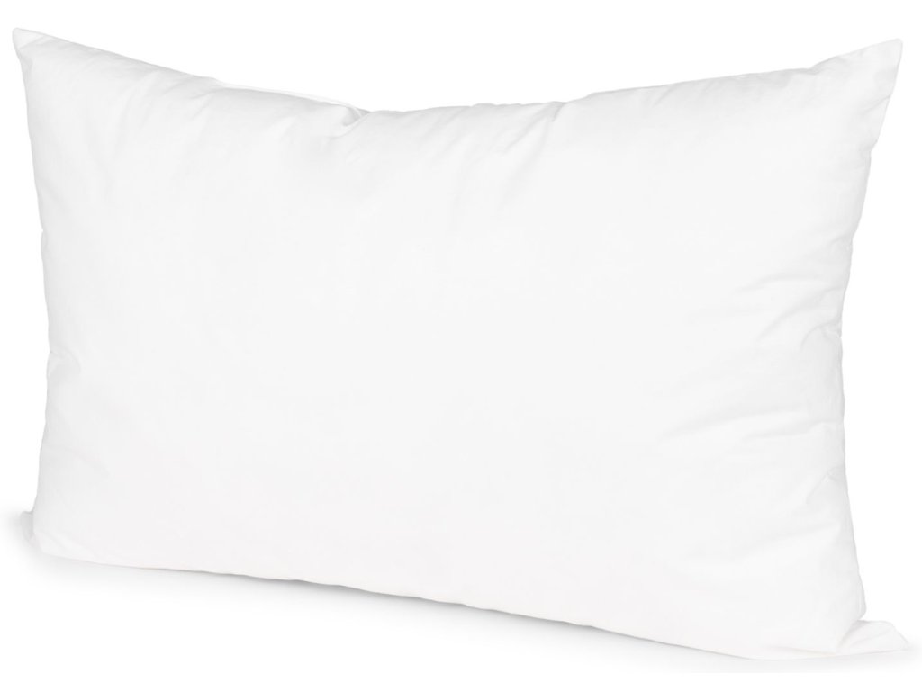 Fill Pillow Insert 15 x 23 - main image