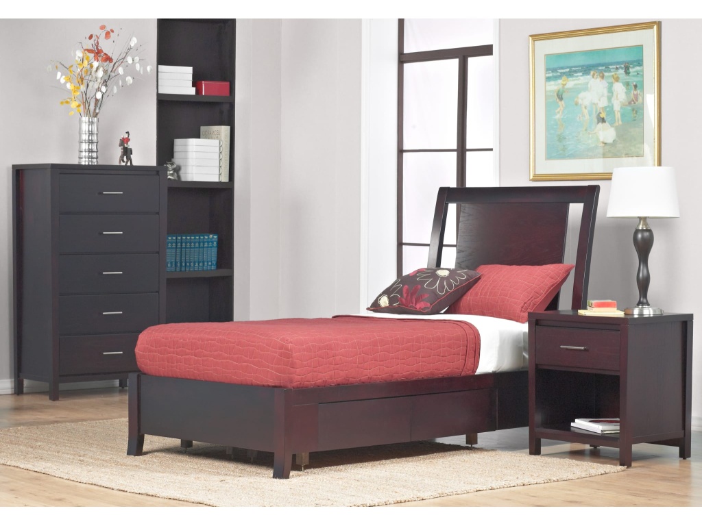 Nevis Low Profile Storage Bed in Espresso - image 2