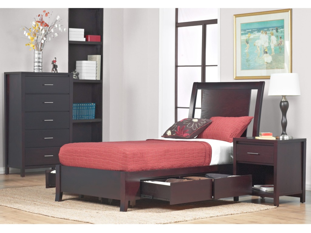 Nevis Low Profile Storage Bed in Espresso - image 3