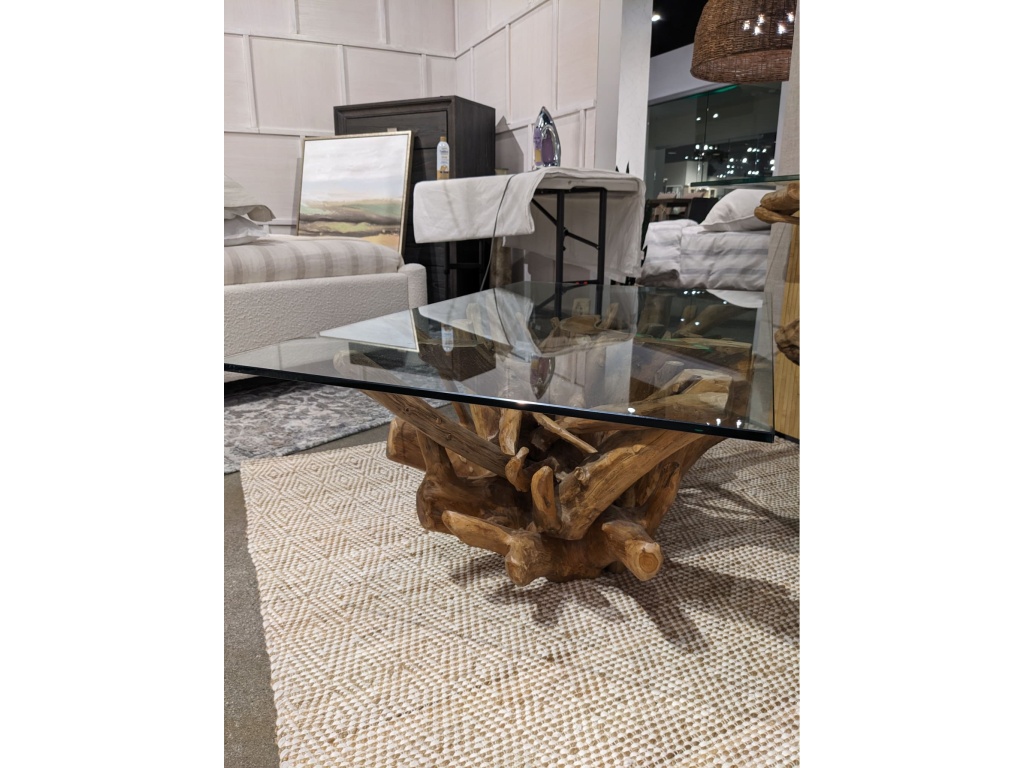 One Solid Teak Root Glass Top Coffee Table - main image