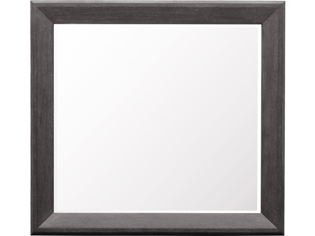 PFC Quincy Dresser Mirror - image 1