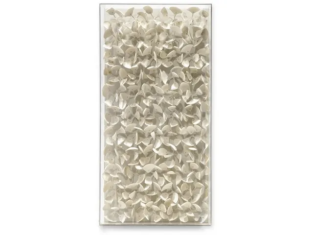 Adrift Coco Wall Decor Small