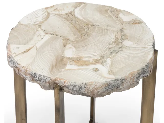 Durham Fossilized Clam Side Table