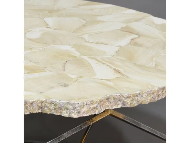 Loren Fossilized Clam Coffee Table