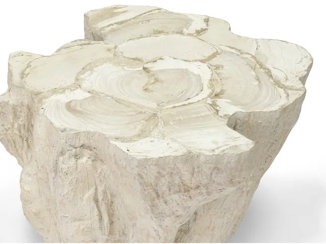 Camilla Fossilized Clam Side Table