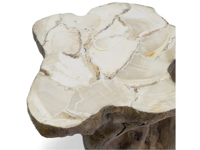 Chloe Fossilized Clam Stump Table - Alternative View