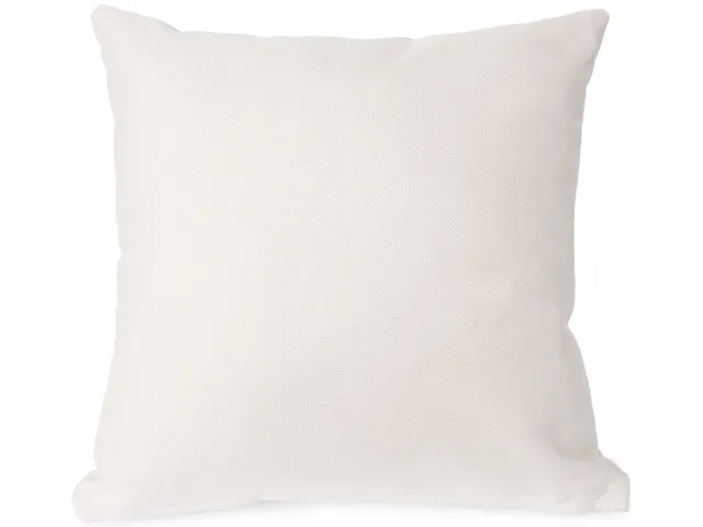 18" Square Down Pillow