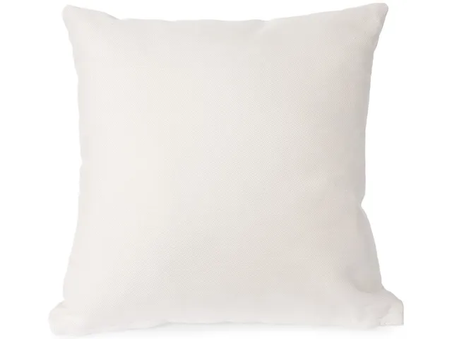 20" Square Down Pillow