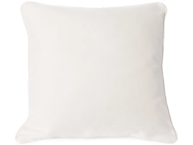 20" Square Outdoor Pillow With Welt
