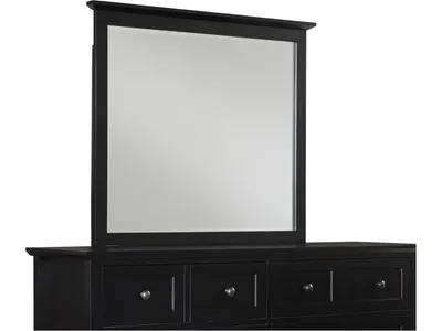 Paragon Beveled Glass Mirror in Black - Alternative View