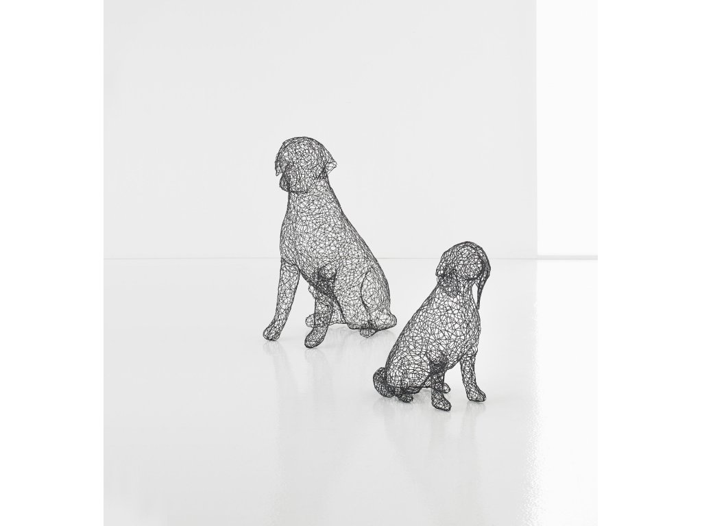 Crazy Wire Beagle, MD - image 5