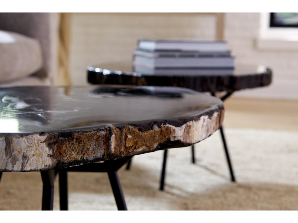 Petrified Coffee Table, Round, Metal Black Base - image 4