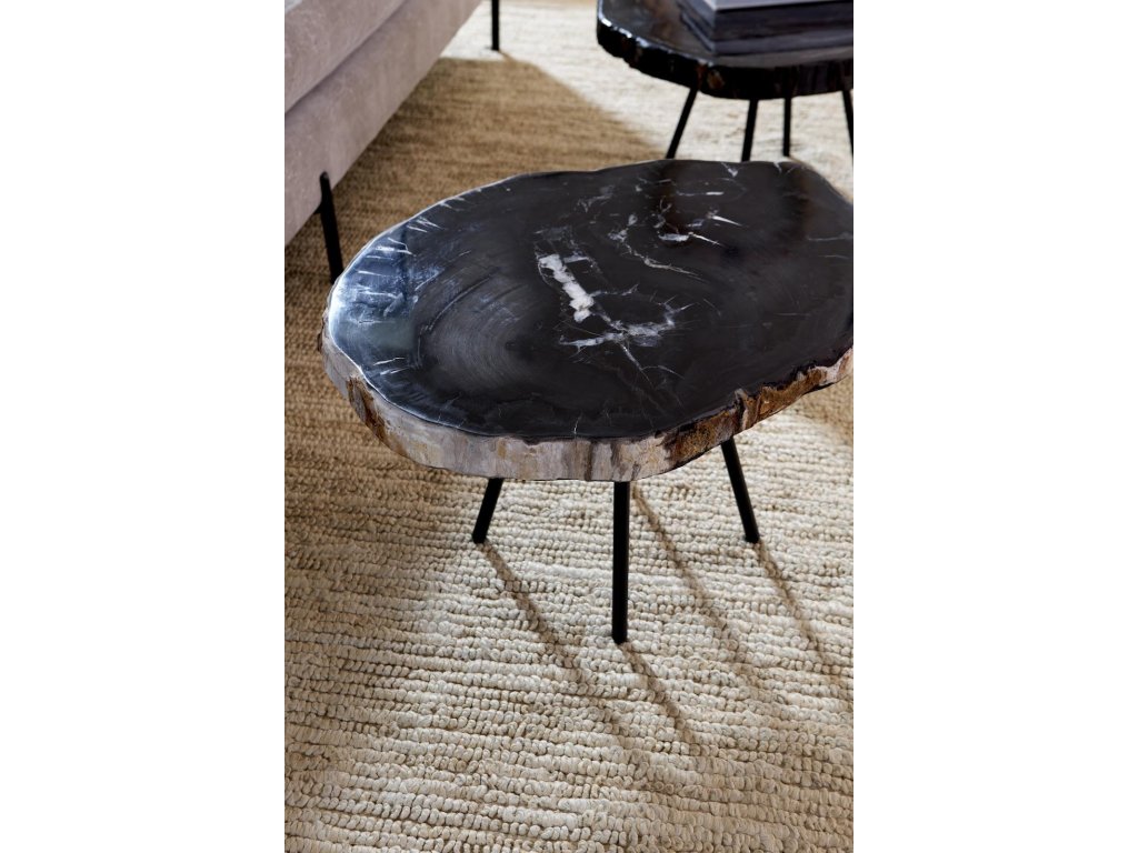 Petrified Coffee Table, Round, Metal Black Base - image 5