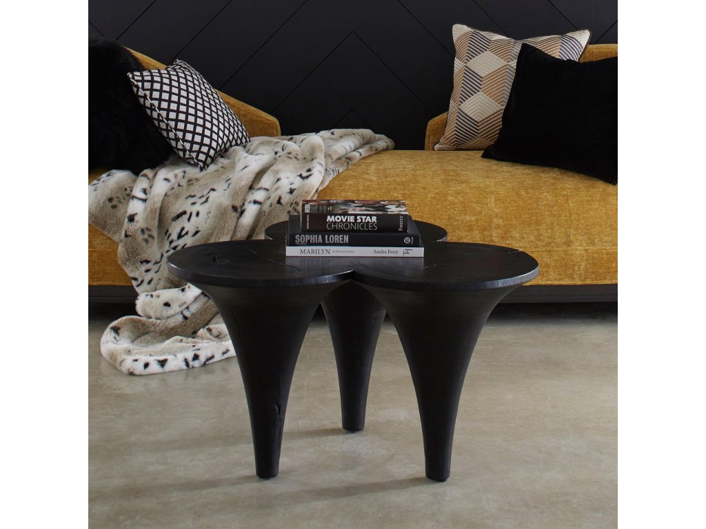 Marley Coffee Table, Chamcha Wood, Burnt Finish - image 3