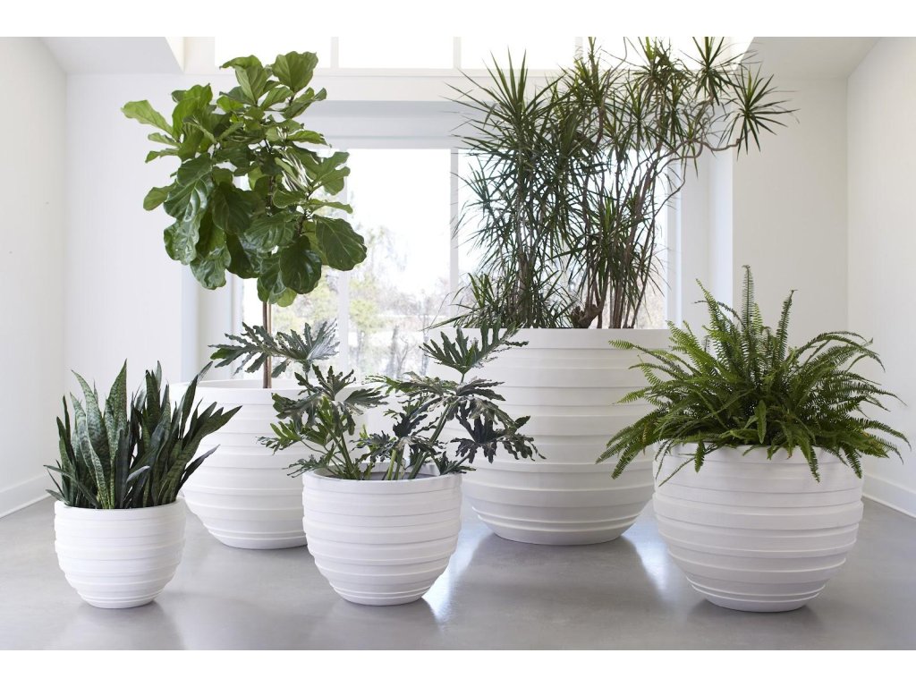 June Planter, White, SM - image 3