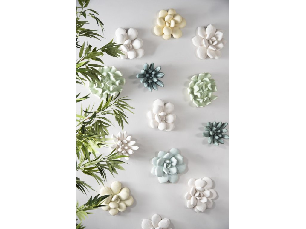 Compactum Succulent Wall Art, Forest - image 3