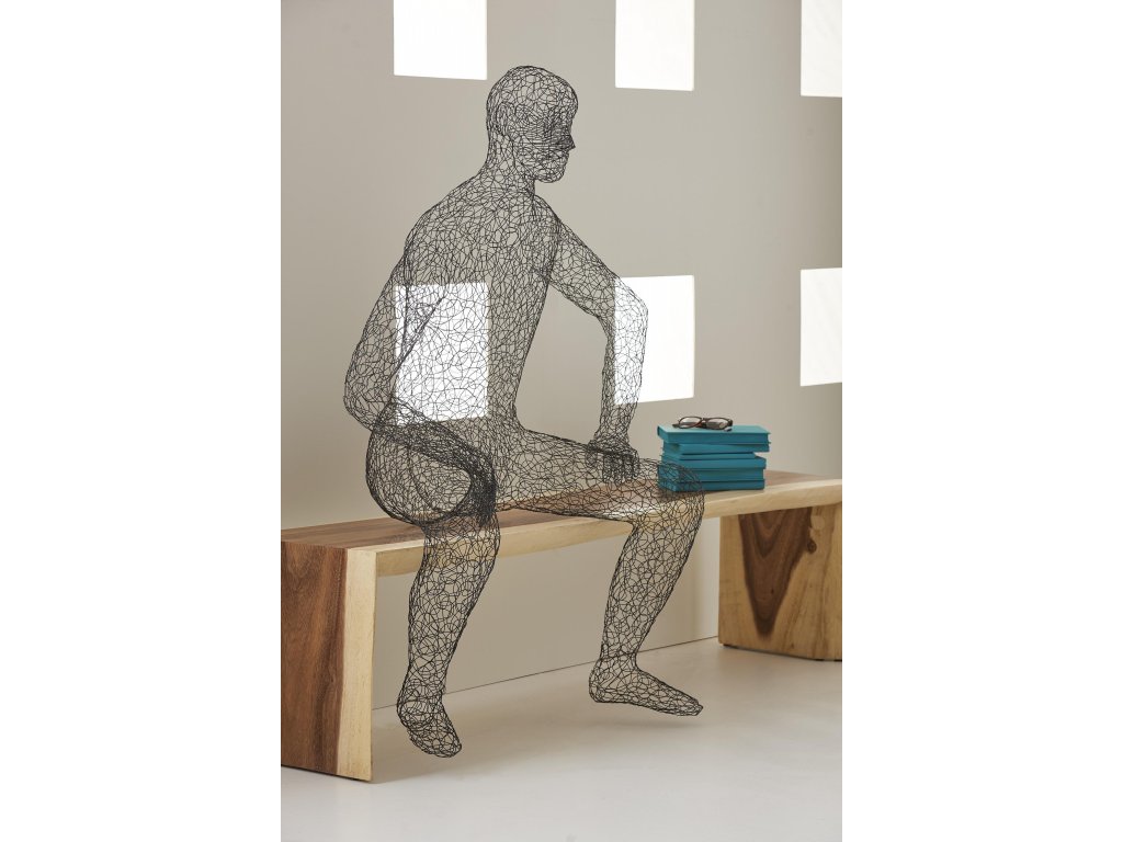 Crazy Wire Lounging Male - image 4
