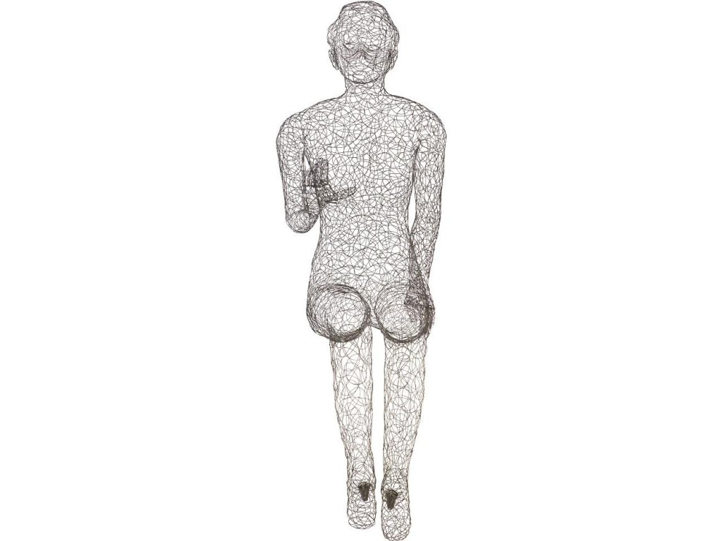 Crazy Wire Lounging Female - image 1