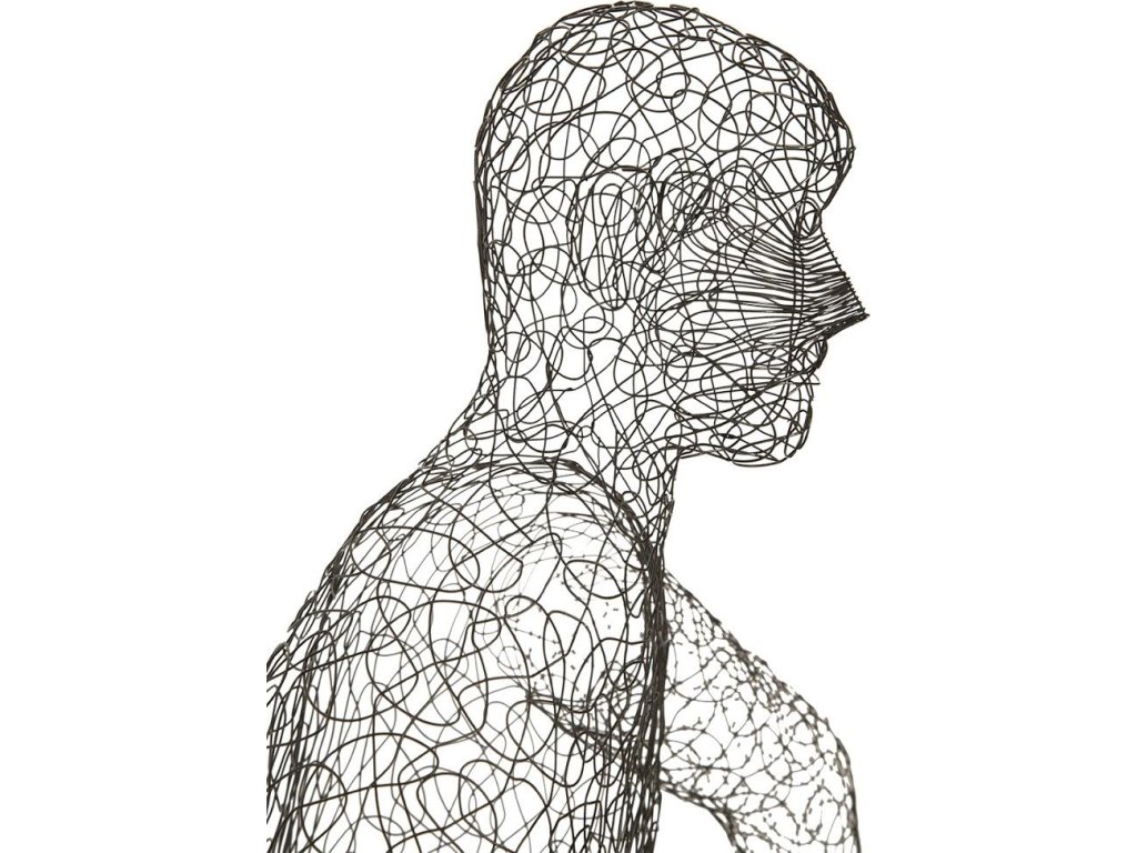 Crazy Wire Lounging Male - image 1