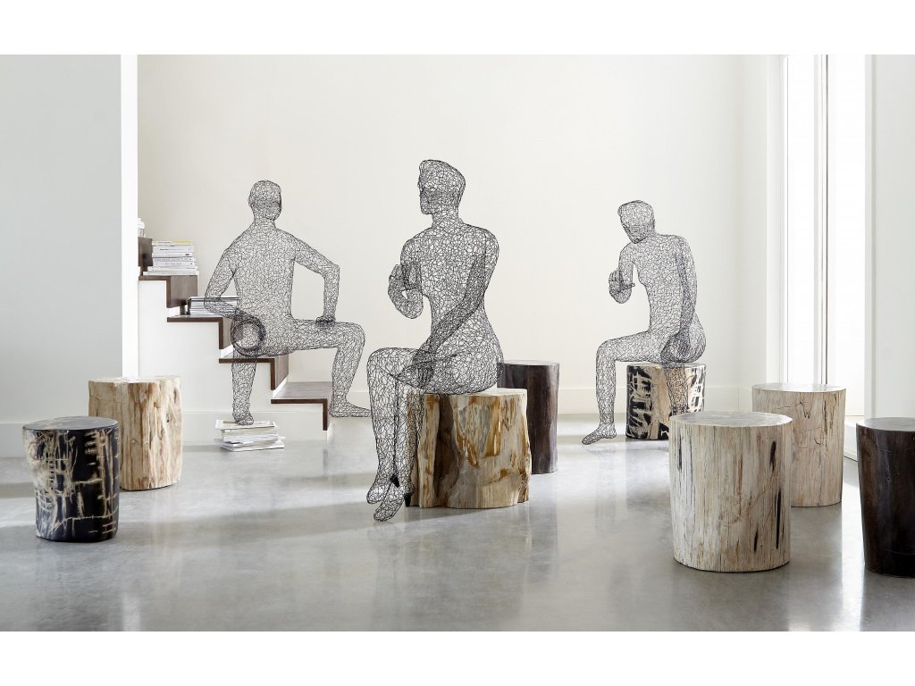 Crazy Wire Lounging Female - image 5