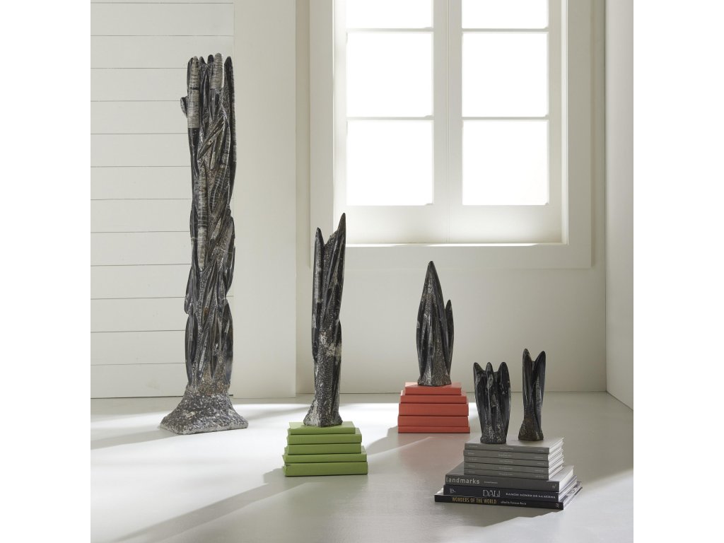 Fossilized Squid Sculpture, Assorted - image 2