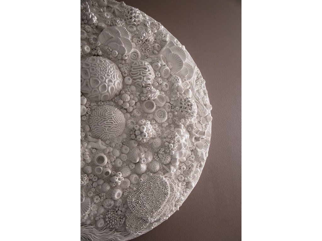 Coral Reef Wall Art, Painted Cream Color, Round, - image 4
